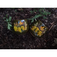 Szőlő - Ősz ízei