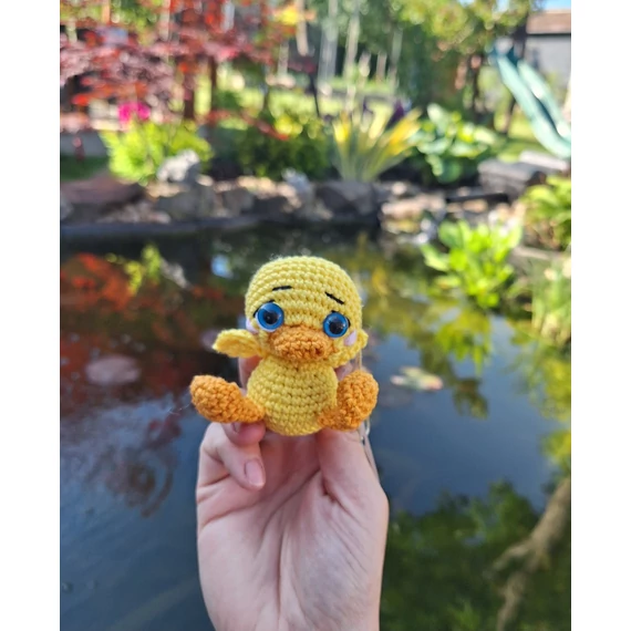 Mini kacsa