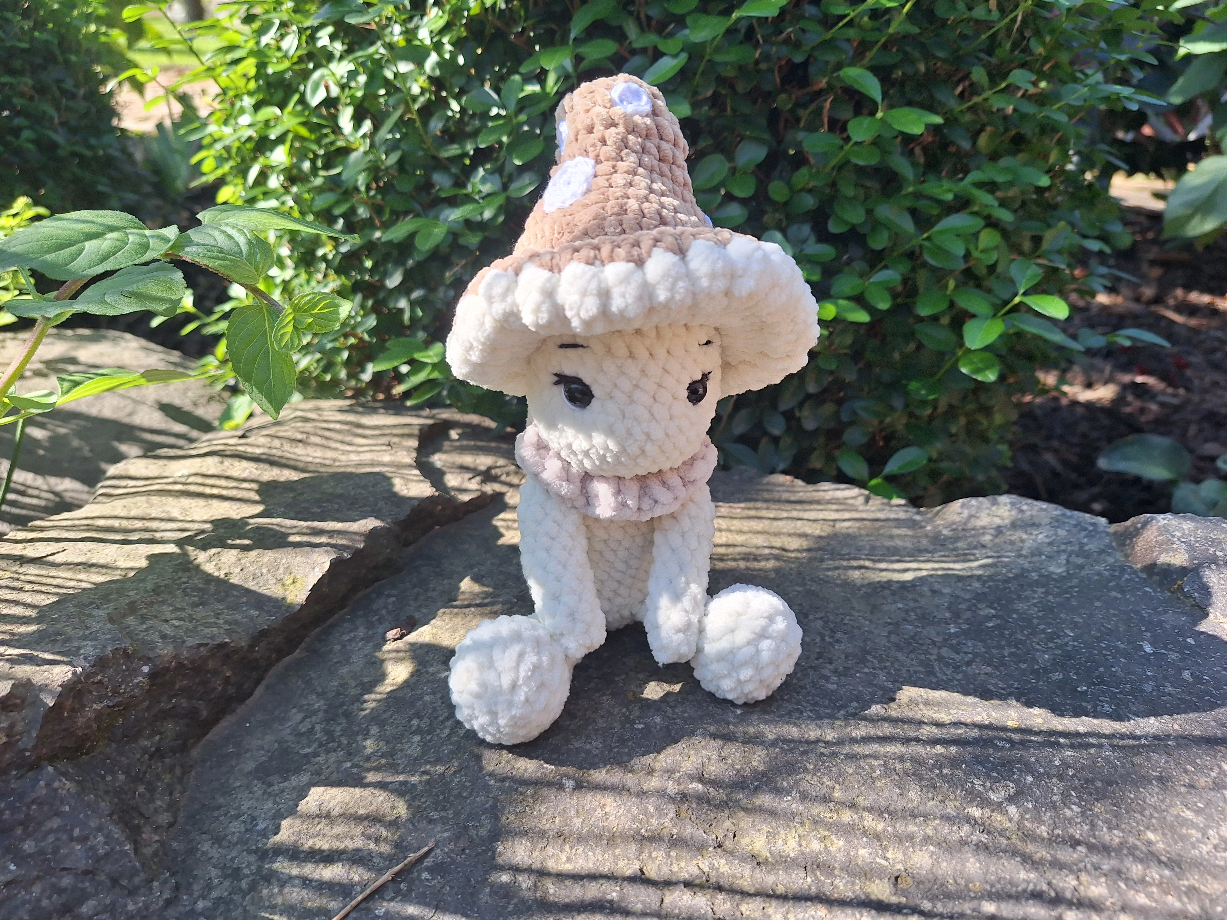 Bézs-fehér gombácska