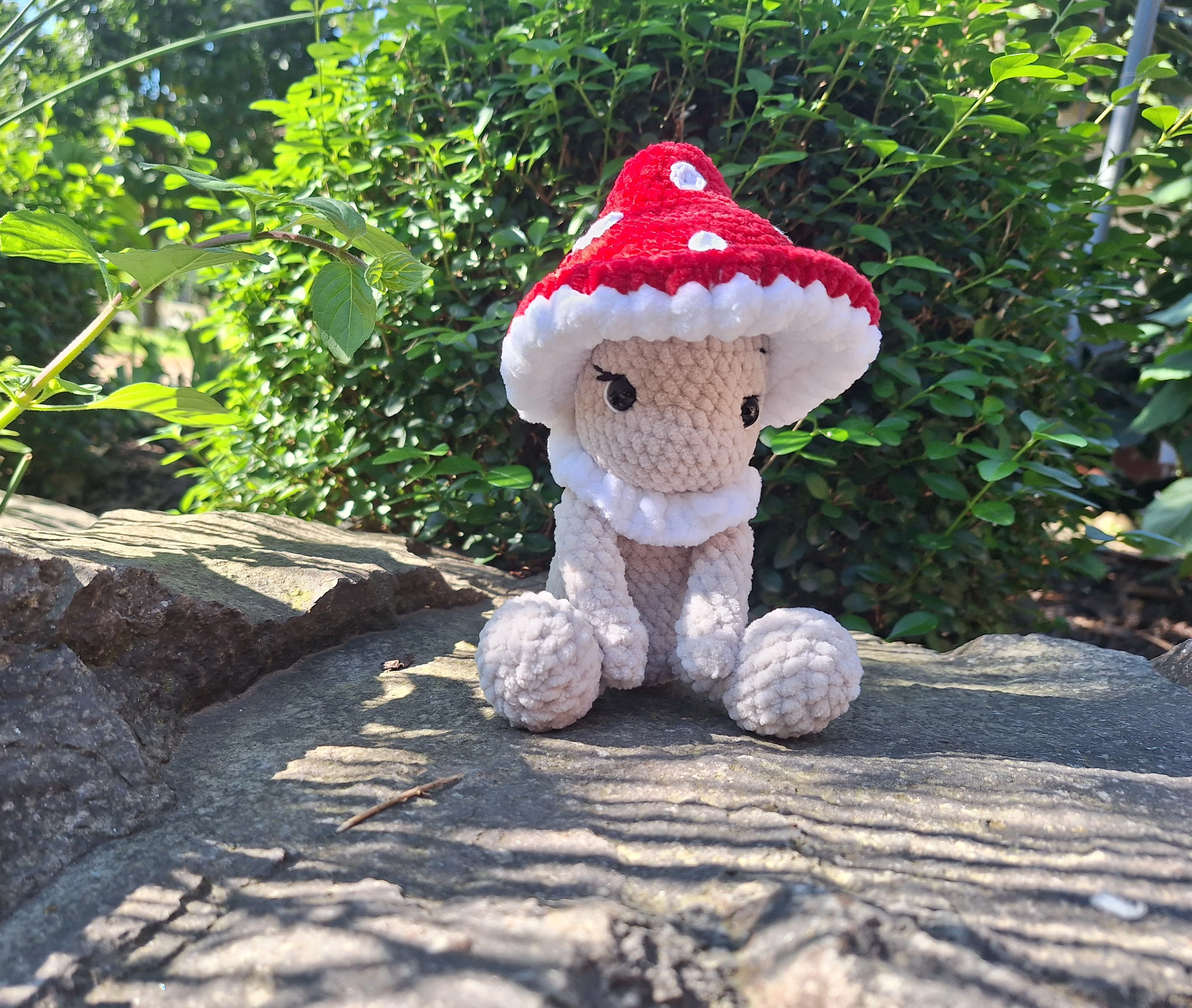 Piros-fehér gombácska